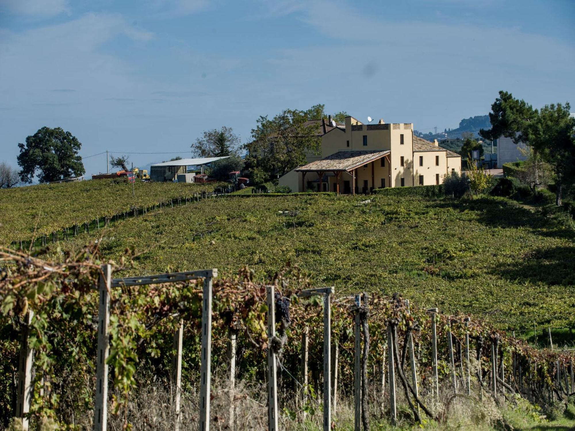 Masseria Del Vino Loreto Aprutino Exterior photo