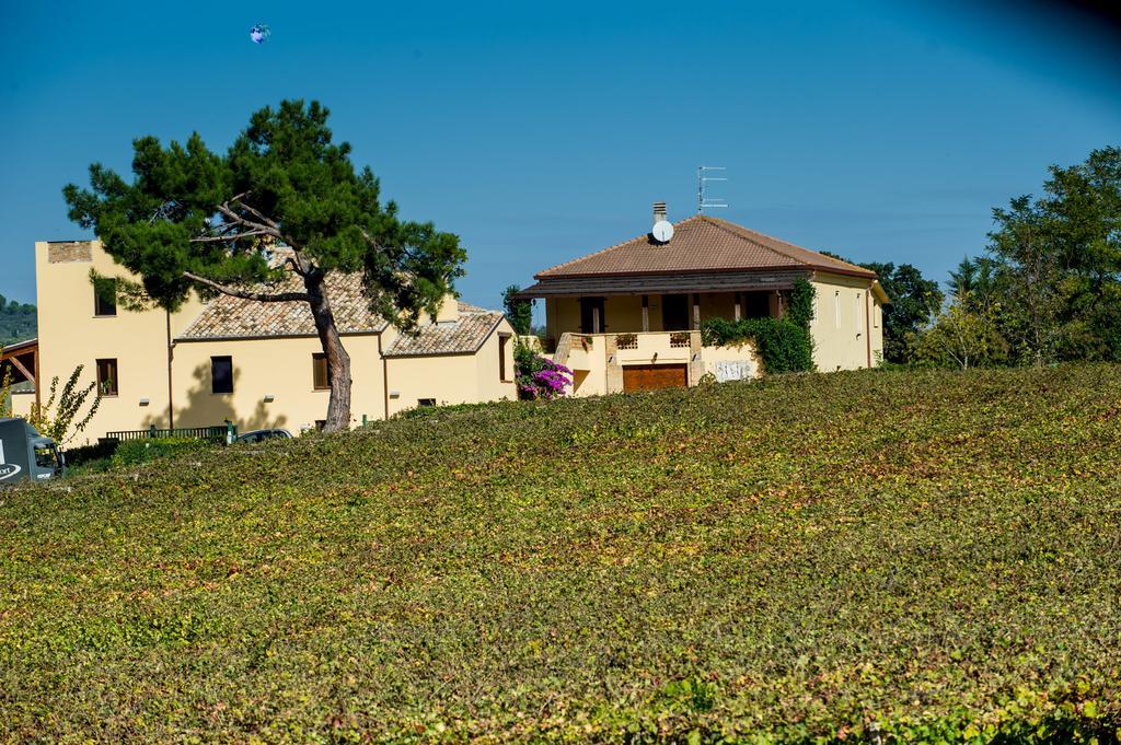 Masseria Del Vino Loreto Aprutino Exterior photo