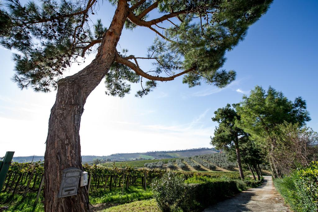 Masseria Del Vino Loreto Aprutino Exterior photo
